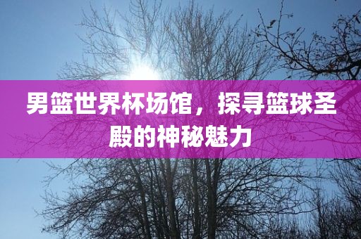 男篮世界杯场馆，探寻篮球圣殿的神秘魅力