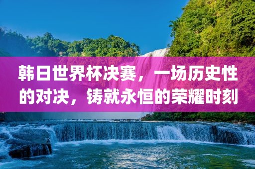 韩日世界杯决赛，一场历史性的对决，铸就永恒的荣耀时刻