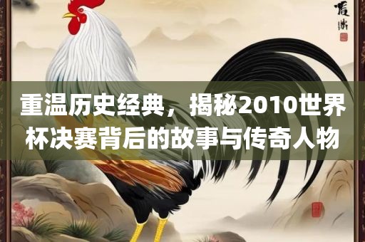 重温历史经典，揭秘2010世界杯决赛背后的故事与传奇人物眉山市正发家政服务有限公司