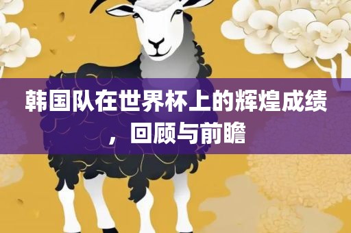 韩国队在世界杯上的辉煌成绩，回顾与前瞻
