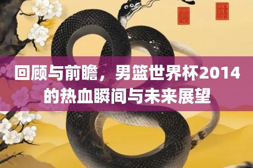 回顾与前瞻，男篮世界杯2014的热血瞬间与未来展望