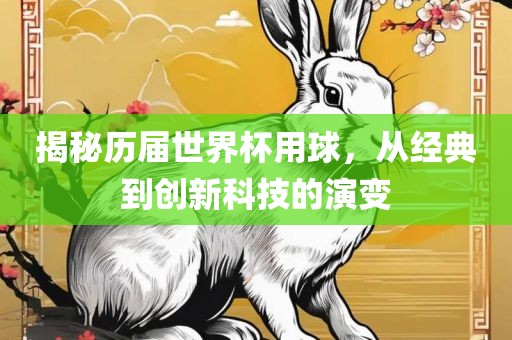 揭秘历届世界杯用球，从经典到创新科技的演变