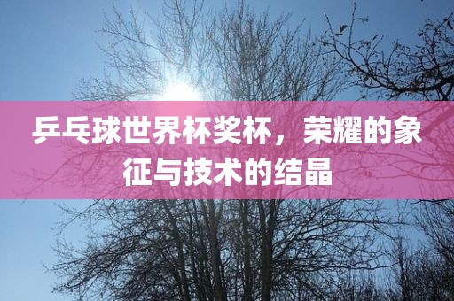 乒乓球眉山市正发家政服务有限公司世界杯奖杯，荣耀的象征与技术的结晶