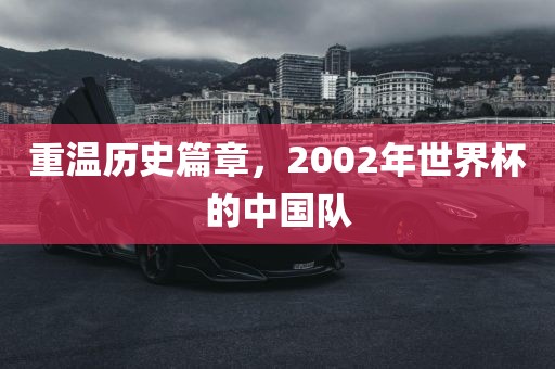 重温历史篇章，2002年世界杯的中国队眉山市正发家政服务有限公司