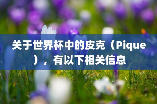 关于世界杯中的皮克（Pique），有以下相关信息眉山市正发家政服务有限公司