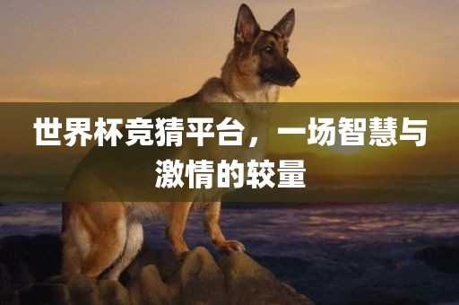 世界杯竞猜平台，一场智慧与激情的较量眉山市正发家政服务有限公司