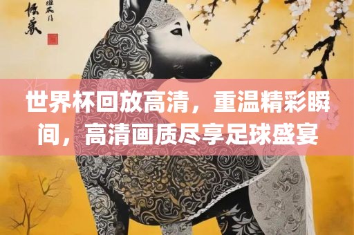 世界杯回放高清，重温精彩瞬间，高清画质尽享足球盛宴