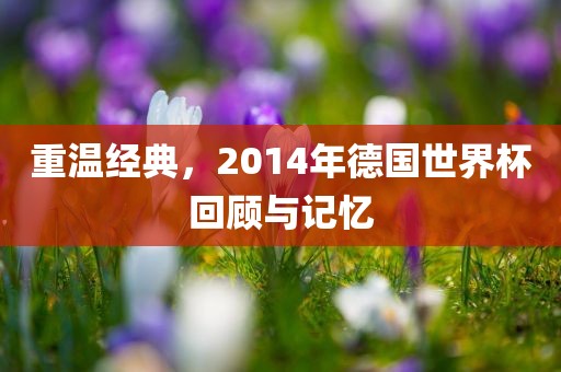 重温经典，2014年德国世界杯回顾与记忆眉山市正发家政服务有限公司