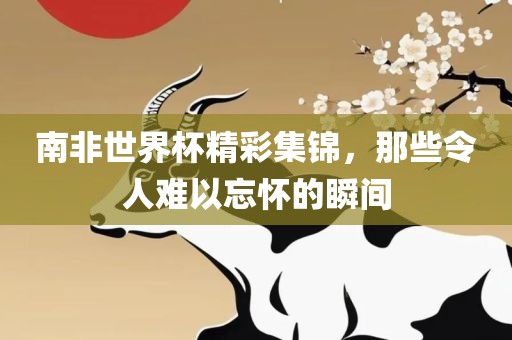 南非世界杯精彩集锦，那些令人难以忘怀的瞬间
