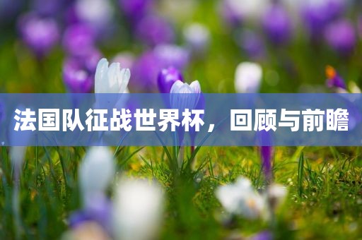 法国队征战世界杯，回顾与前瞻