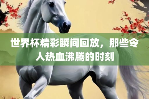 houyingru 第12页