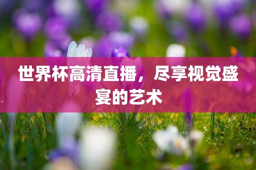 世界杯高清直播，尽享视觉盛宴的艺术