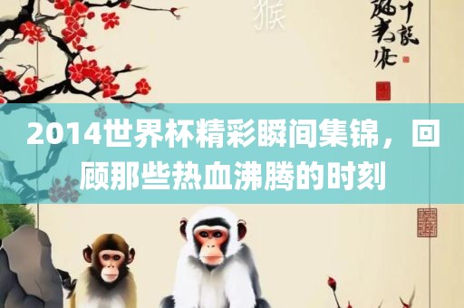 2014世界杯精彩瞬间集锦，回顾那些热血沸腾的时刻