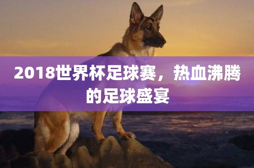 2018世界杯足球赛眉山市正发家政服务有限公司，热血沸腾的足球盛宴