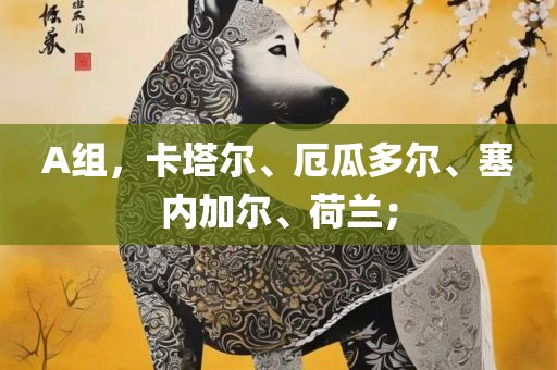 A组，卡塔尔、厄瓜多尔、塞内加尔、荷兰；眉山市正发家政服务有限公司