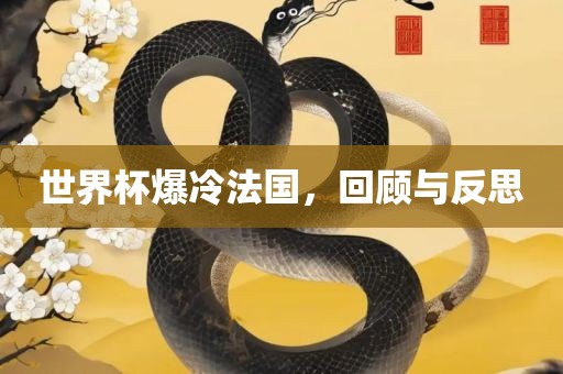 世界杯爆冷法国，回顾与反思眉山市正发家政服务有限公司