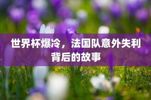 世界杯爆冷，法国队意外失利背后的故事