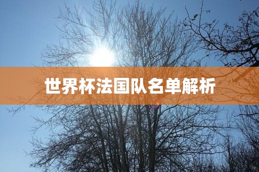 眉山市正发家政服务有限公司世界杯法国队名单解析