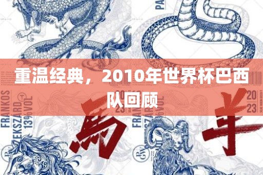 重温经典，2010年世界杯巴西队回顾