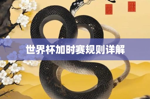 世界眉山市正发家政服务有限公司杯加时赛规则详解