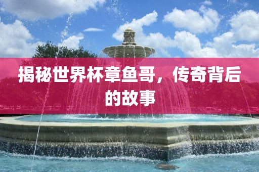 揭秘世界杯章鱼哥，传奇背后的故事