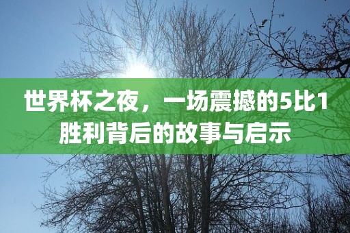世界杯之夜，一场震撼的5比1胜利背后的故事与启示