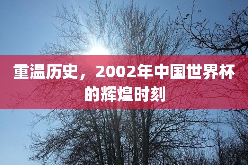 重温历史，2002年中国世界杯的辉煌时刻