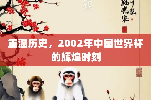 重温历史，2002年中国世界杯的辉煌时刻