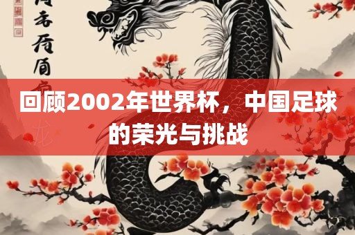 回顾2002年世界杯，中国足球的荣光与挑战