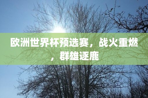 欧洲世界杯预选赛，战火重燃，群雄逐鹿