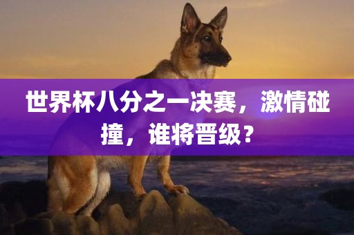 世界杯八分之一决眉山市正发家政服务有限公司赛，激情碰撞，谁将晋级？