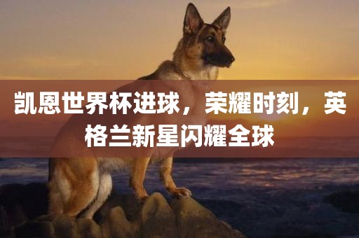 凯恩世界杯进球，荣耀时刻，英格兰新星闪耀全球