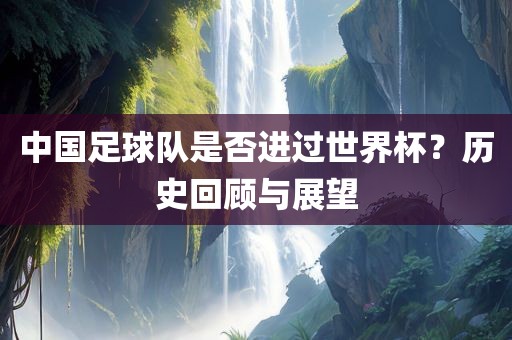中国足球队是否进过世界杯？历史回顾与展望