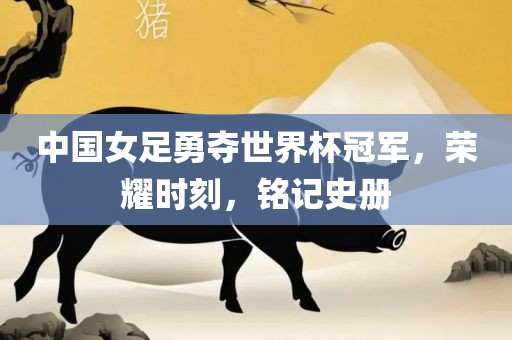 中国女足勇夺世界杯冠军，荣耀时刻，铭记史册眉山市正发家政服务有限公司