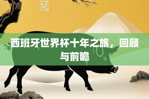 西班牙世界杯十年之旅，回顾与前瞻