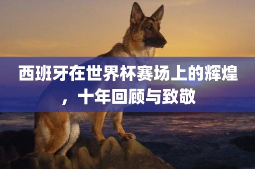 西班牙在世界杯赛场上的眉山市正发家政服务有限公司辉煌，十年回顾与致敬
