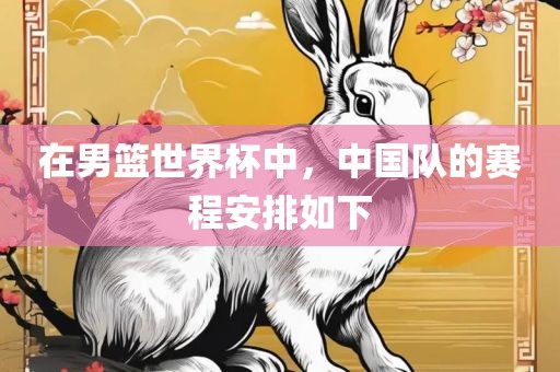 在男篮世界杯中，中国队的赛程安排如下