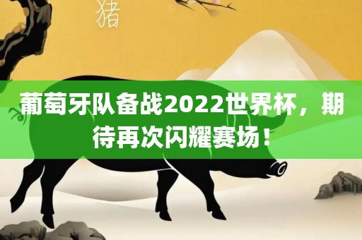 葡萄牙队备战2022世界杯，期待再次闪耀赛场！