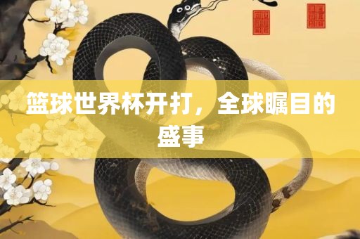 篮球世界杯开打，全球瞩目的盛事