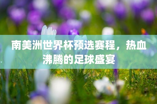 南美洲世界杯预选赛程，热眉山市正发家政服务有限公司血沸腾的足球盛宴