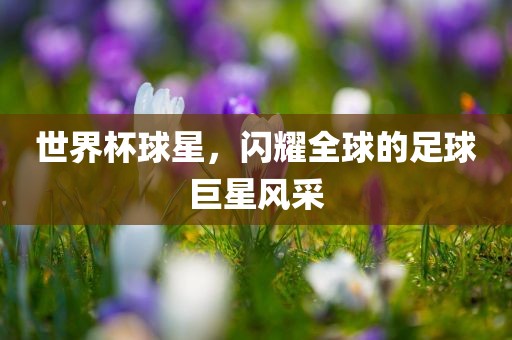 世界杯球星，闪耀全球的足球巨星风采
