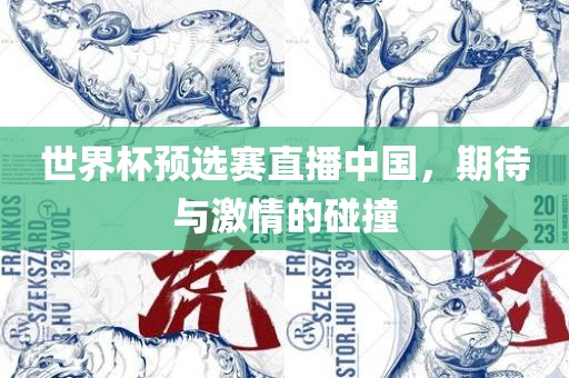 世界杯预选赛直播中国，期待与激情的碰撞