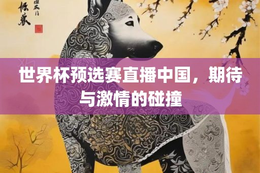 世界杯预选赛直播中国，期待与激情的碰撞