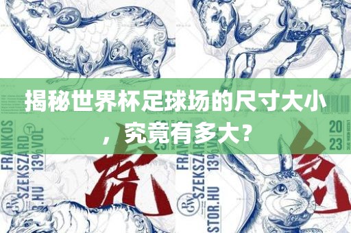 揭秘世界杯足球场的尺寸大小，究竟有多大？