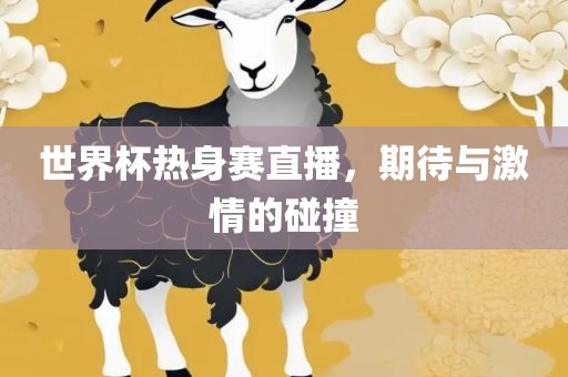 世界杯热身赛直播，期待与激情的碰撞