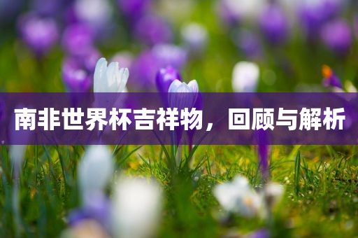 南非世界杯吉祥物，回顾与解析