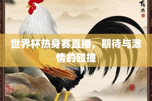 世界杯热身赛直播，期待与激情的碰撞