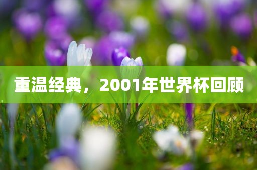 重温经典，2001年世界杯回顾