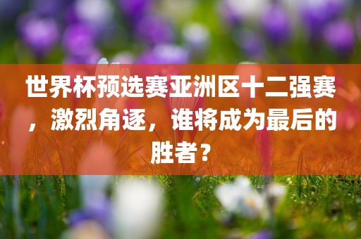 世界杯预选赛亚洲区十二强赛，激烈角逐，谁将成为最后的胜者？