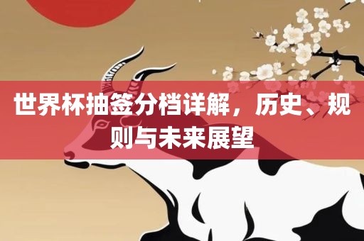 世界杯抽签分档详解，历史、规则与未来展望